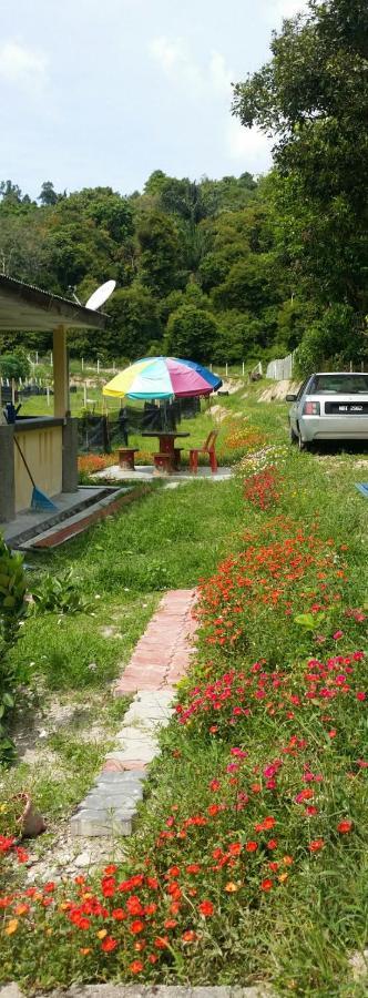 Kuntum Cottage Bed & Breakfast Kampung Tanjung Ipoh Exterior photo