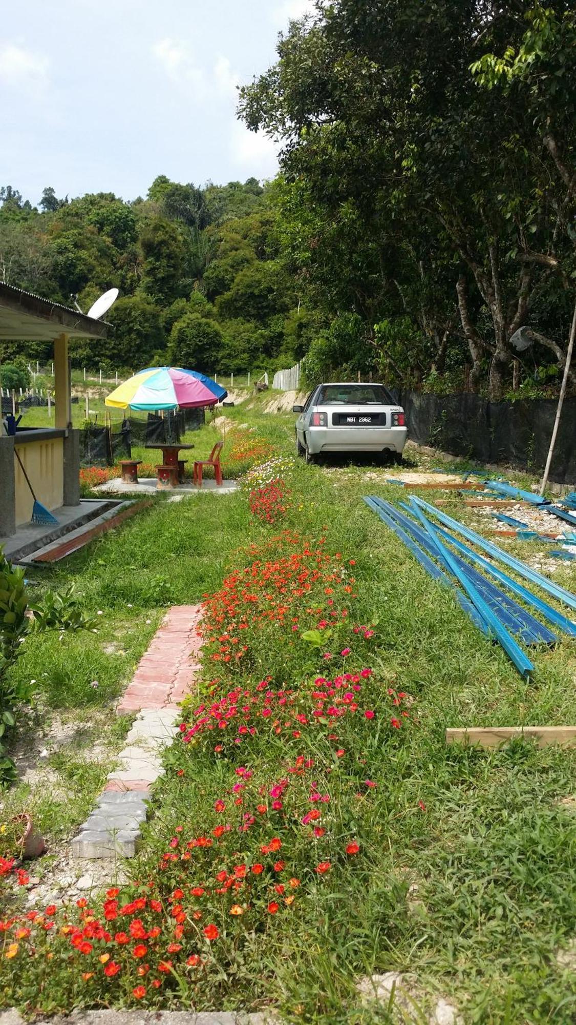 Kuntum Cottage Bed & Breakfast Kampung Tanjung Ipoh Exterior photo